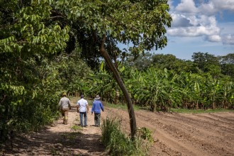Políticas públicas transformam a agricultura familiar mato-grossense e fomentam a renda de produtores