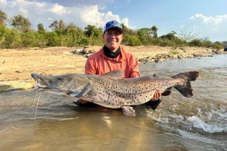 Pescador Esportivo fisga pintado de 30kg no Rio Cuiabá