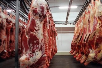 Exportações de carne bovina alcançam recorde histórico em setembro