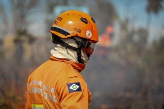Corpo de Bombeiros combate 22 incêndios florestais nesta quarta-feira (8)