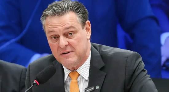 Gripe aviária não deve impactar preço da carne de frango, diz ministro