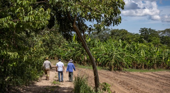 Políticas públicas transformam a agricultura familiar mato-grossense e fomentam a renda de produtores