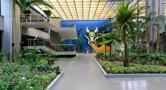 Governo de MT impulsiona desenvolvimento do Estado com redução de impostos para cidadão