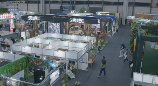 FIT Pantanal 2025 consolida diversidade turística de Mato Grosso