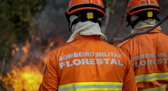 Corpo de Bombeiros realiza Congresso Internacional de Gestão de Incêndios Florestais a partir de segunda-feira (16)