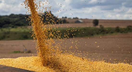Agronegócio de MT é considerado 'motor' da economia brasileira