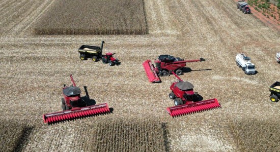 Mato Grosso dá início à colheita da segunda safra nacional de milho