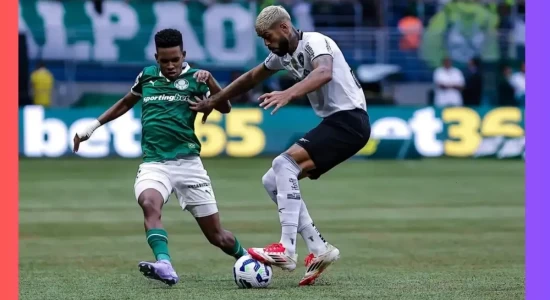 Palmeiras e Botafogo fazem duelo decisivo neste sábado