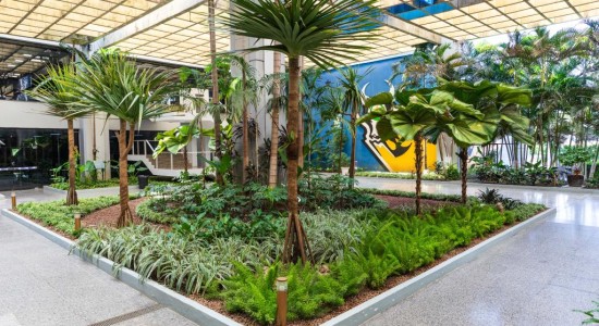 Evento em Cuiabá vai discutir desafios e soluções para agenda climática no setor agrícola