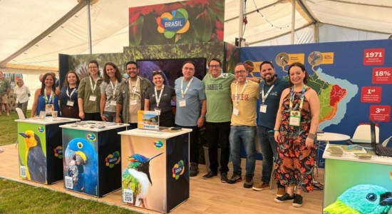 Terra de três biomas, Mato Grosso ganha destaque na maior feira de birdwatching do mundo