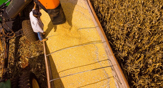 Mato Grosso lidera saldo da balança comercial brasileira no primeiro semestre de 2025