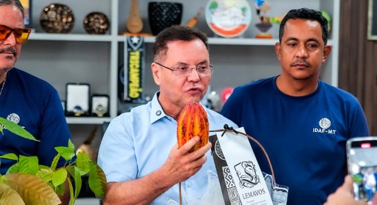 Seminário Cacau-MT Familiar promete expandir informações sobre cultura altamente rentável