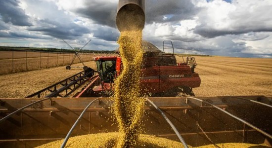 Mato Grosso amplia área produtiva e produtividade e chega a 111,9 milhões de toneladas de grãos na safra 2425