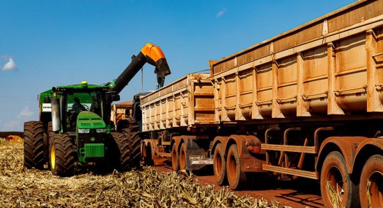 Mato Grosso finaliza colheita da 2ª safra de milho com recorde de produção
