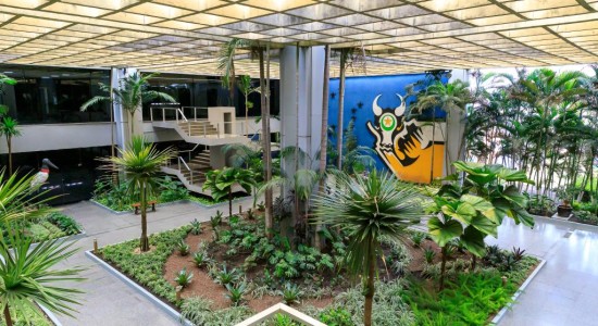 Mato Grosso sobe nove posições no ranking de eficiência da contabilidade pública