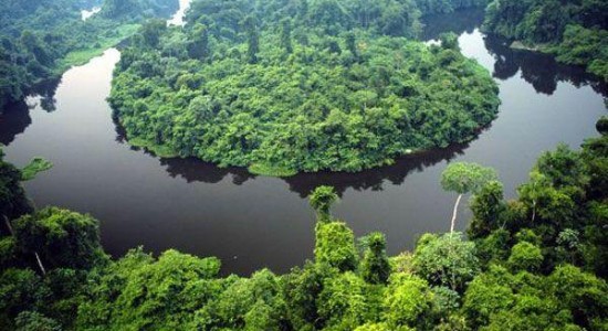 Governo de MT e O.N.E. Amazon firmam convênio de US$ 100 milhões para preservação da Amazônia