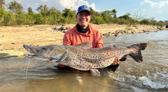Pescador Esportivo fisga pintado de 30kg no Rio Cuiabá
