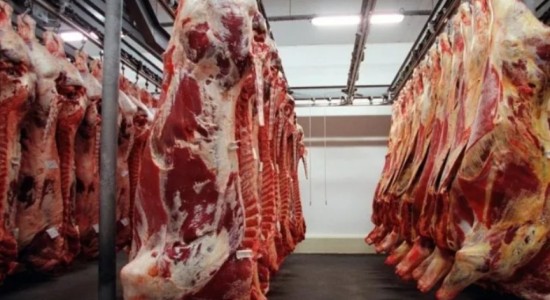 Exportações de carne bovina alcançam recorde histórico em setembro