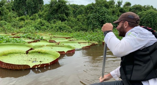 Mato Grosso sediará 1ª edição da COP Pantanal