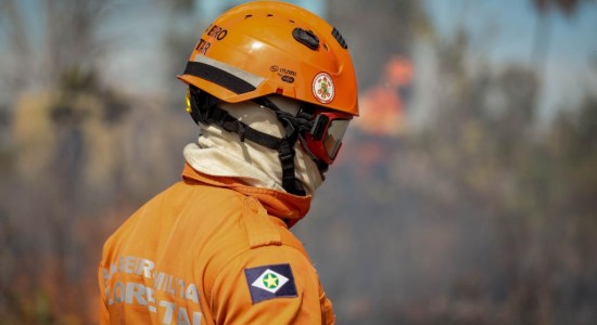 Corpo de Bombeiros combate 22 incêndios florestais nesta quarta-feira (8)