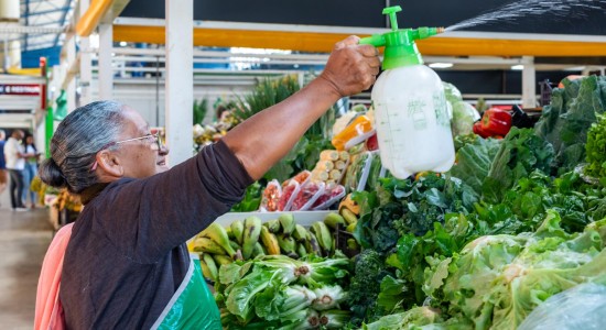 Prefeitura entrega 142 Termos de Permissão para o Mercado do Porto nesta quarta