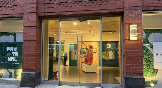 Mato Grosso leva cultura, sabores e arte pantaneira à Galeria Visit Brasil