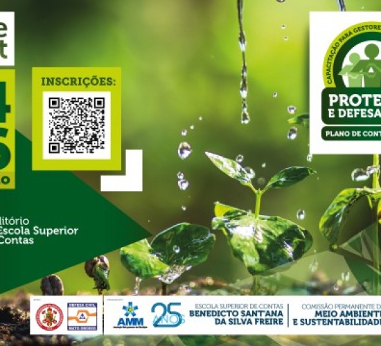 TCE detecta falhas em 81% dos municípios na prevenção a desastres naturais