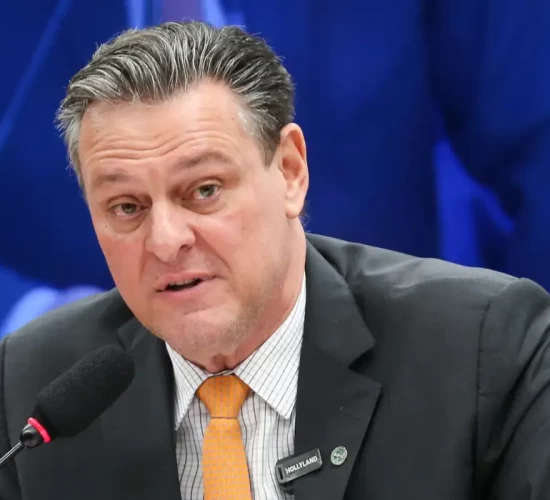 Gripe aviária não deve impactar preço da carne de frango, diz ministro