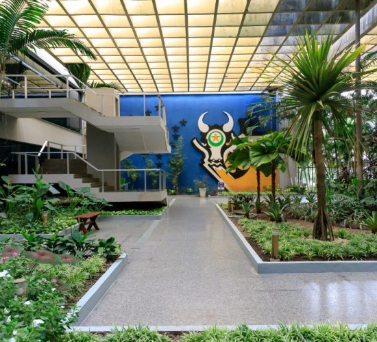 Governo de MT impulsiona desenvolvimento do Estado com redução de impostos para cidadão