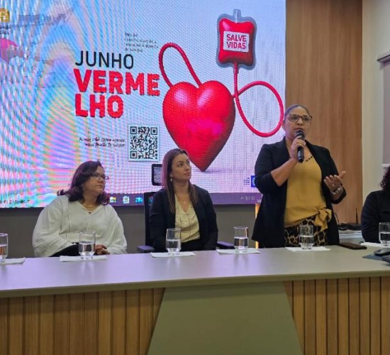 SES realiza oficina sobre cuidados com populações expostas a agrotóxicos