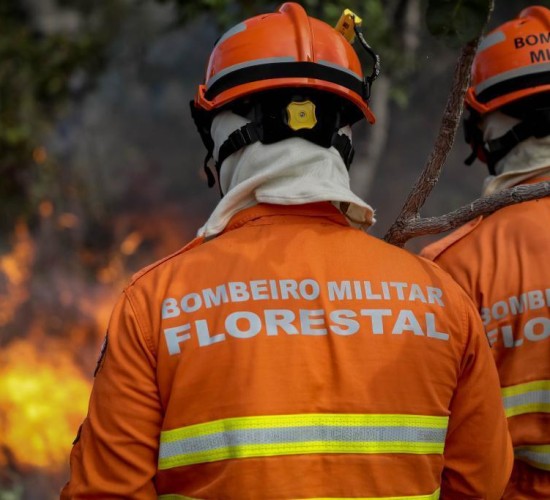 Corpo de Bombeiros realiza Congresso Internacional de Gestão de Incêndios Florestais a partir de segunda-feira (16)