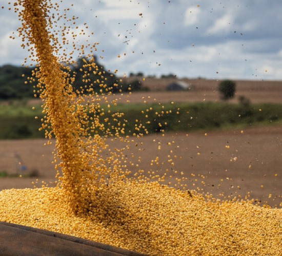 Agronegócio de MT é considerado 'motor' da economia brasileira