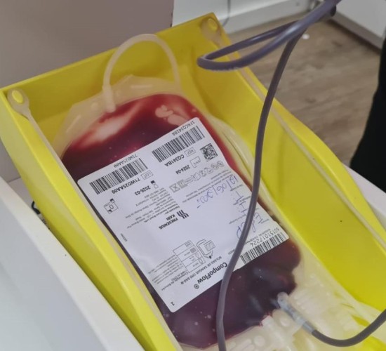 MT Hemocentro atende mais de 500 pacientes com a doença falciforme