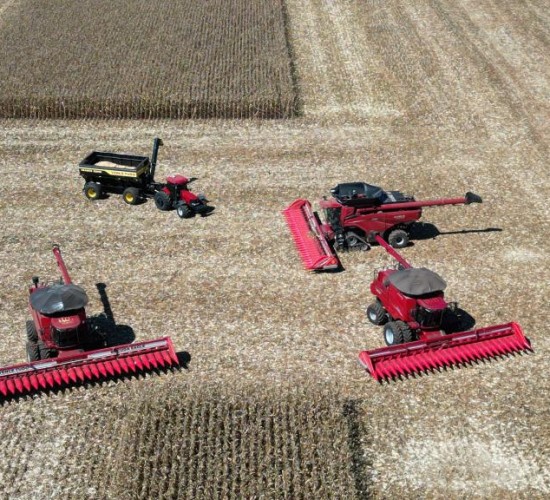 Mato Grosso dá início à colheita da segunda safra nacional de milho