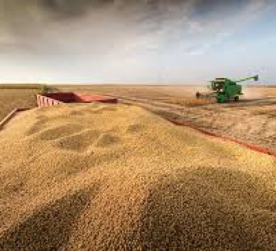 Agronegócio representa 25% do PIB e já alimenta 11% da população mundial