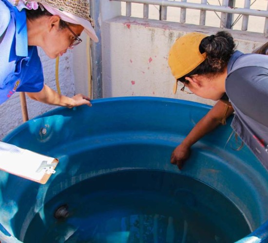 Agentes de Endemia realizam levantamentos ‘in loco’ nos bairros de Várzea Grande