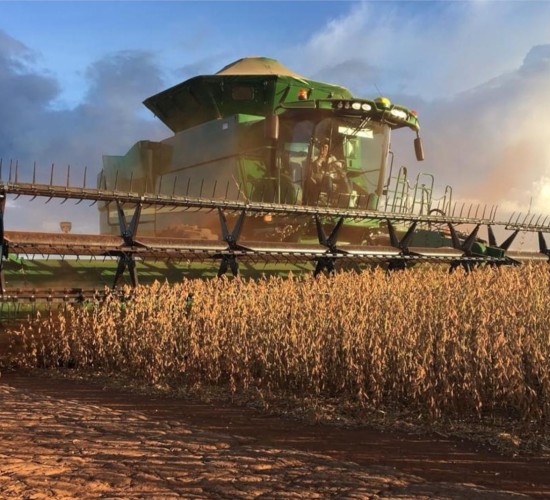 Na iminência do tarifaço, MT surge como 2º estado menos impactado no Brasil