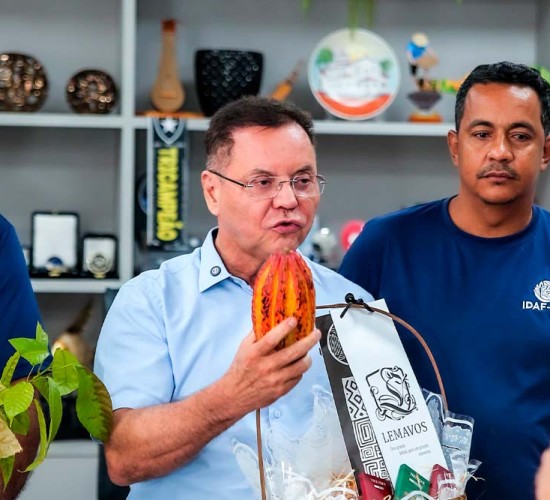 Seminário Cacau-MT Familiar promete expandir informações sobre cultura altamente rentável