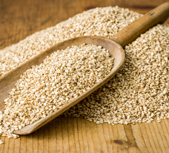 Empresas de MT respondem por 13 da demanda nacional de gergelim para a China