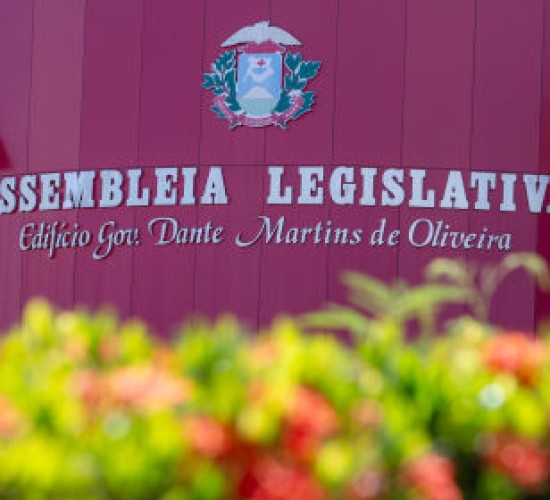 ALMT tem novas câmaras setoriais temáticas