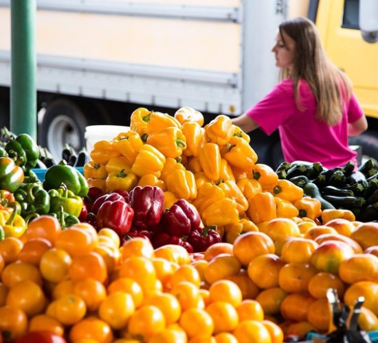 Governo lança AgroAmigo no Centro-Oeste com R$ 500 milhões para fortalecer a agricultura familiar
