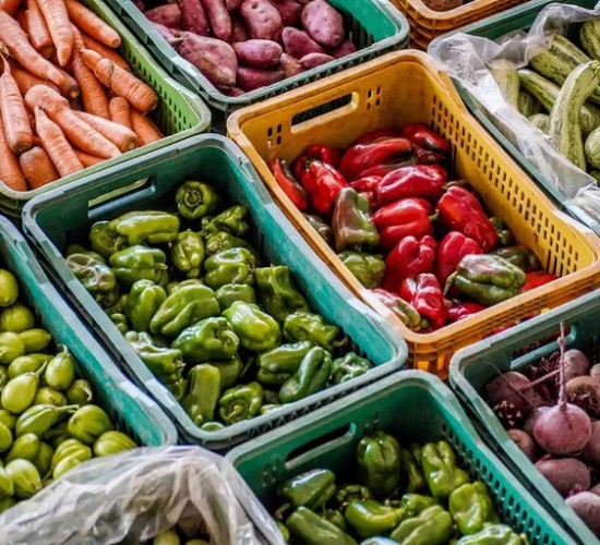 País teve deflação de 0,11% em agosto, puxada por queda em habitação e alimentação