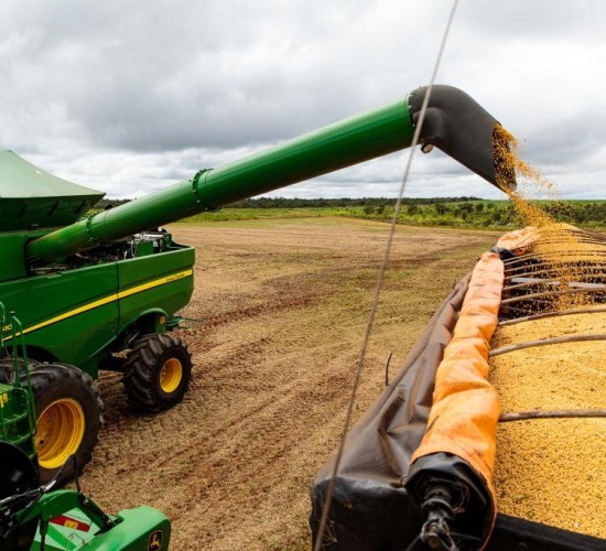 Mato Grosso tem safra recorde e colhe 111,9 milhões de toneladas de grãos em 202425