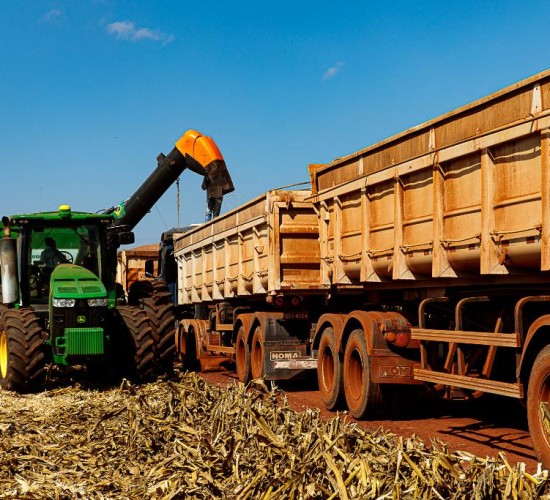 Mato Grosso finaliza colheita da 2ª safra de milho com recorde de produção