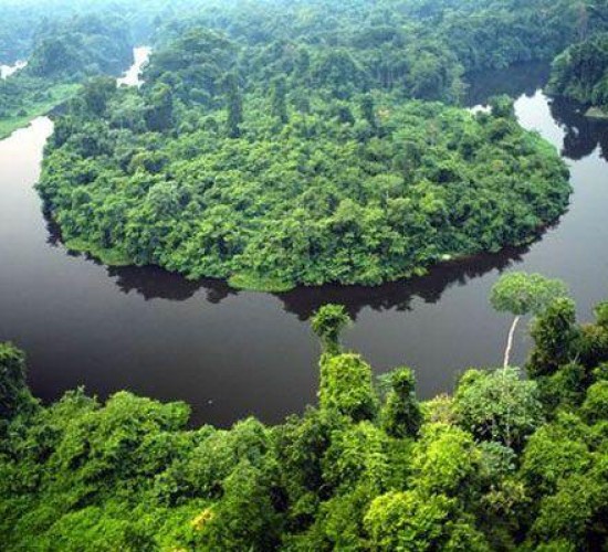 Governo de MT e O.N.E. Amazon firmam convênio de US$ 100 milhões para preservação da Amazônia