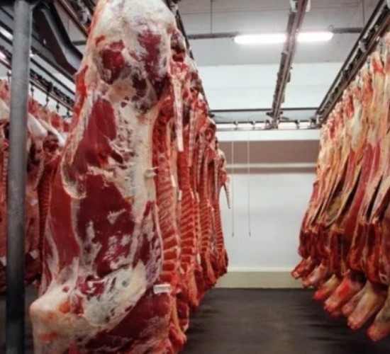 Exportações de carne bovina alcançam recorde histórico em setembro