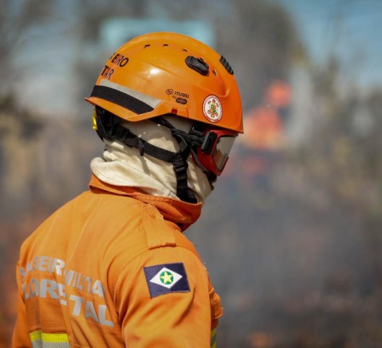 Corpo de Bombeiros combate 22 incêndios florestais nesta quarta-feira (8)
