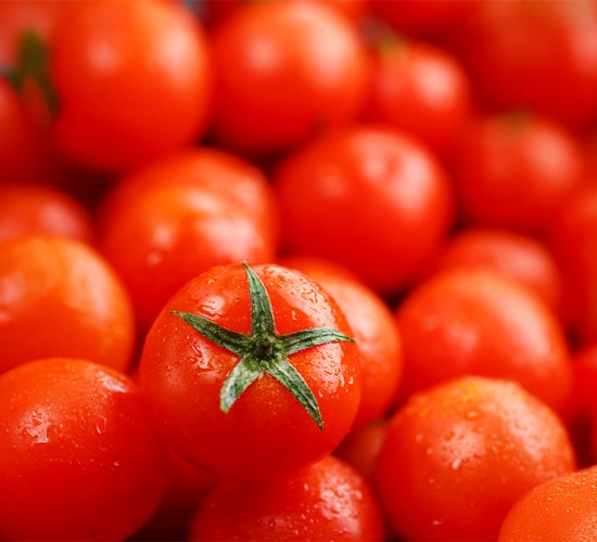 Tomate interfere novamente no custo da cesta básica em Cuiabá; dessa vez, ficando mais caro