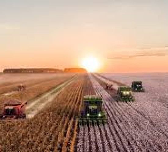 Agroindústria abre nova frente de expansão em MT e impulsiona PIB acima da média nacional