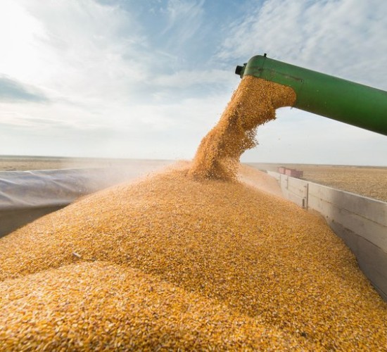 Governo do Brasil projeta novo recorde e safra de 354,7 milhões de toneladas de grãos em 202526